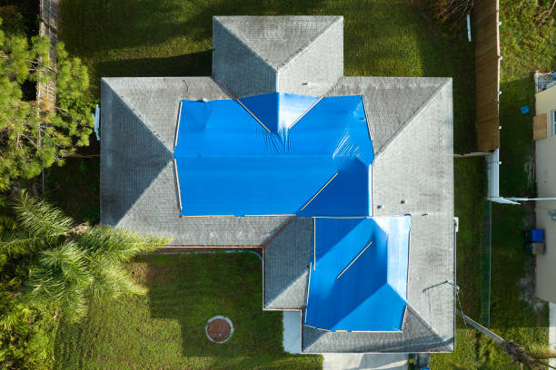 Best Roof Moss and Algae Removal  in Manistee, MI