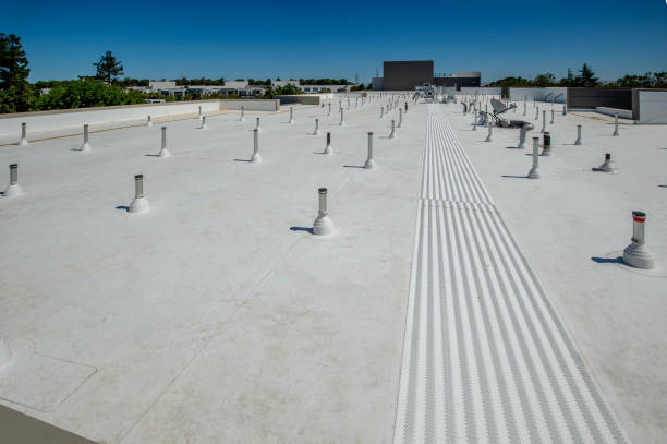 Best Storm Damage Roof Repair  in Manistee, MI